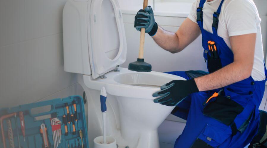 Professional same day plumber in Reevesville, SC